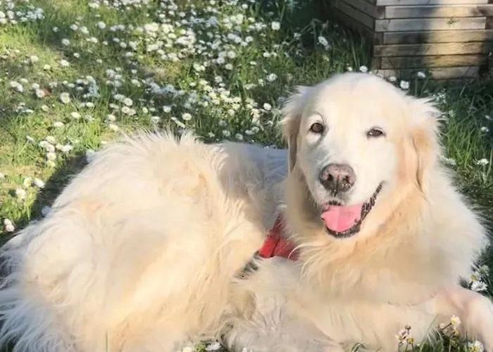 Borgo Dolciano Chiusi